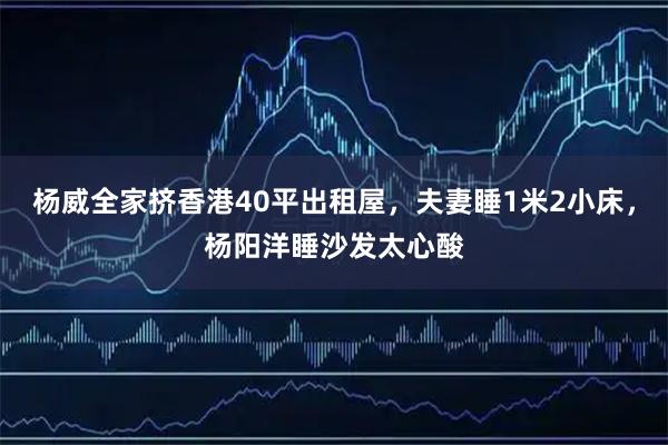 杨威全家挤香港40平出租屋，夫妻睡1米2小床，杨阳洋睡沙发太心酸