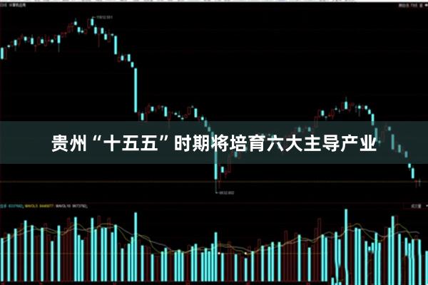 贵州“十五五”时期将培育六大主导产业