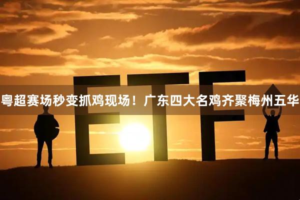 粤超赛场秒变抓鸡现场!广东四大名鸡齐聚梅州五华