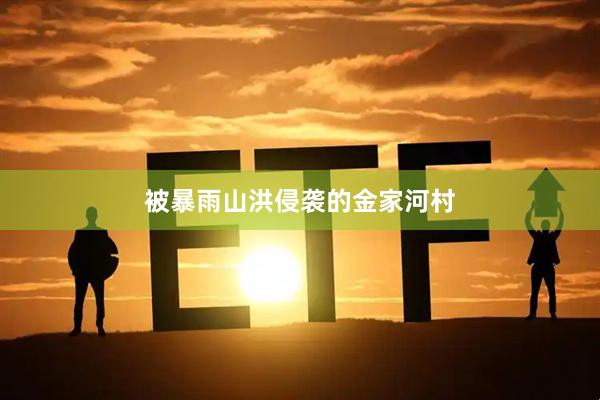 被暴雨山洪侵袭的金家河村