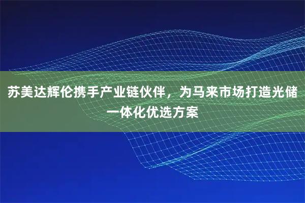 苏美达辉伦携手产业链伙伴，为马来市场打造光储一体化优选方案
