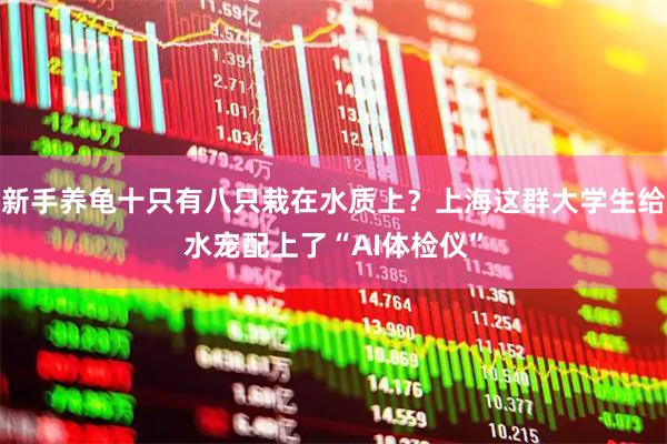 新手养龟十只有八只栽在水质上？上海这群大学生给水宠配上了“AI体检仪”